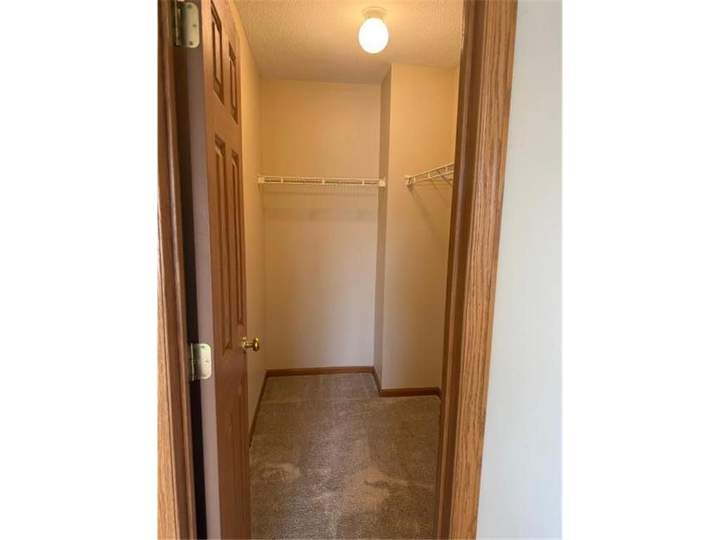 6886 Meadow Grass Lane S Cottage Grove MN 55016 7091897 image19