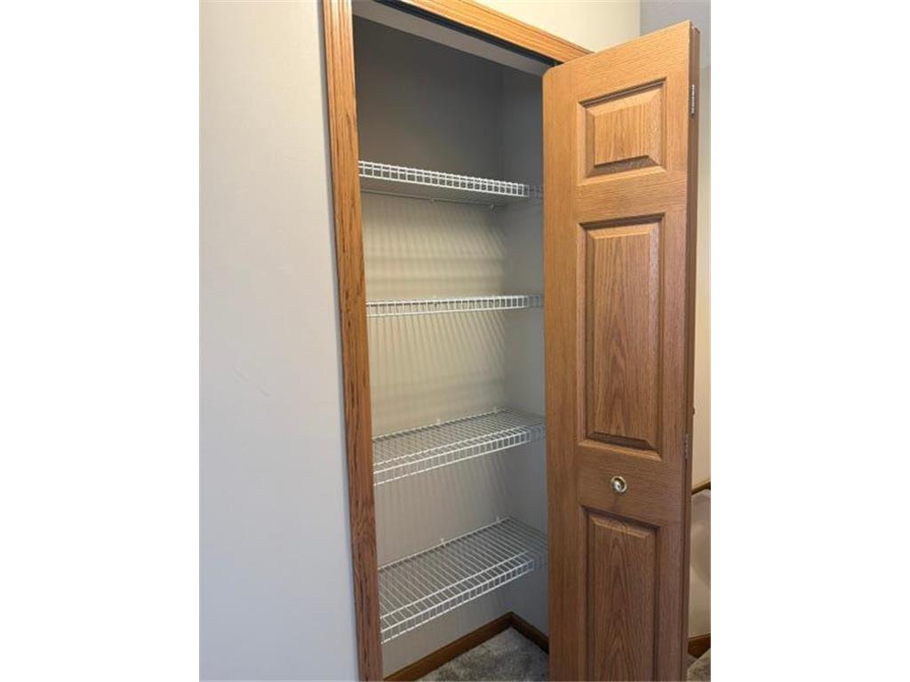 6886 Meadow Grass Lane S Cottage Grove MN 55016 7091897 image22