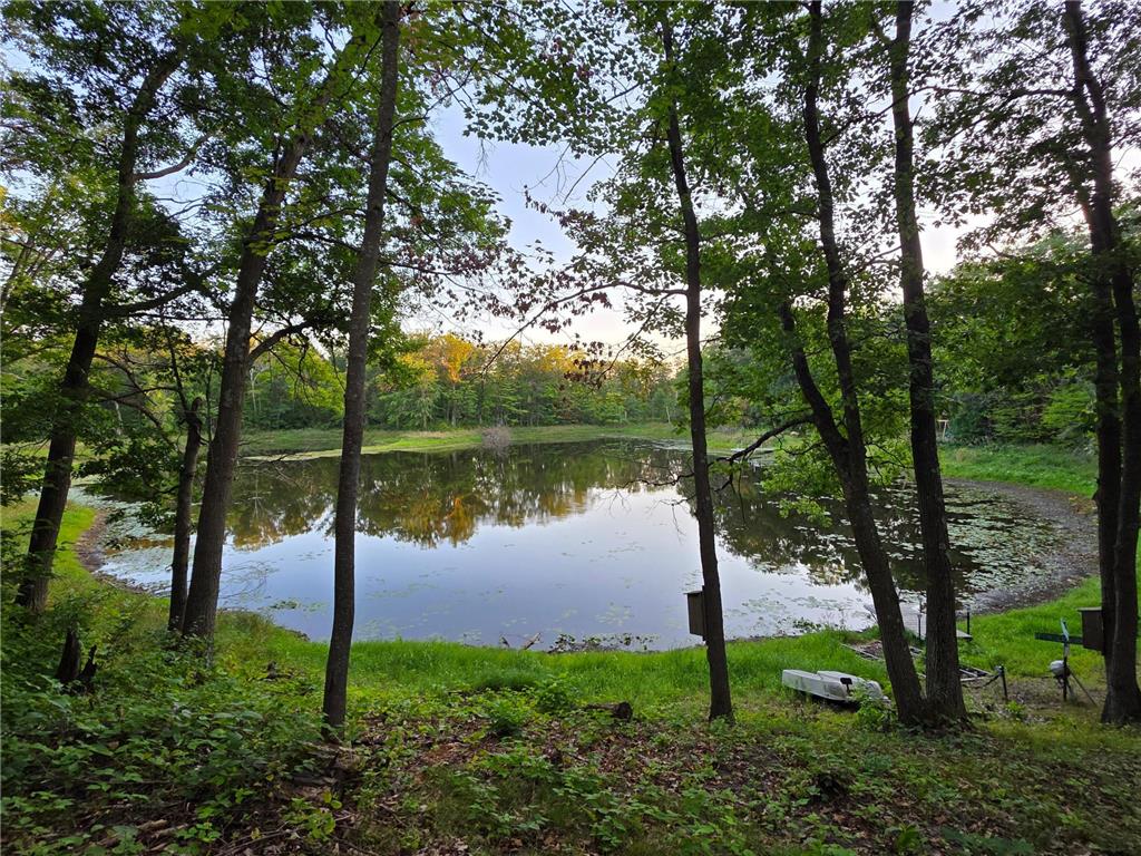 6887 Jennifer Circle Randall MN 56475 7049259 image35