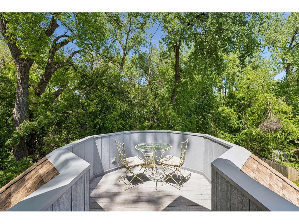 689 Brookside Lane Mendota Heights MN 55118 7071221 image31