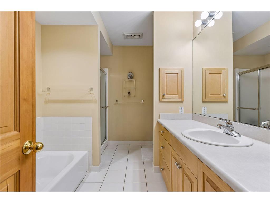 689 Brookside Lane Mendota Heights MN 55118 7071221 image36