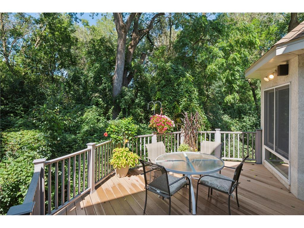689 Brookside Lane Mendota Heights MN 55118 7071221 image44