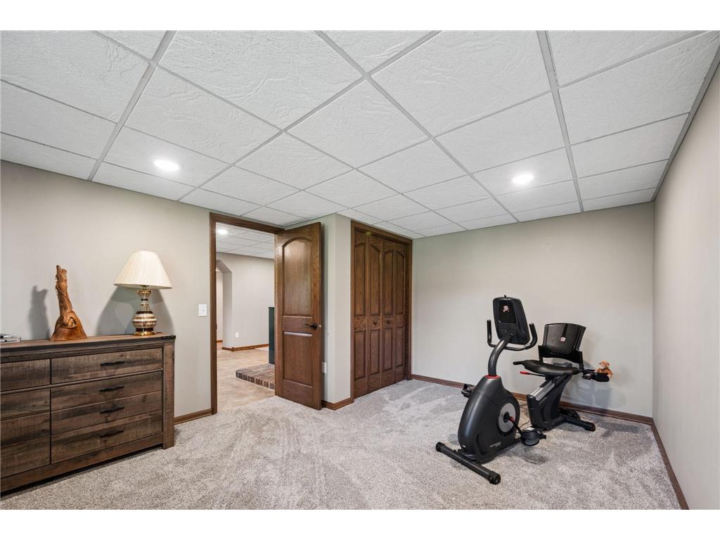 6897 95th Avenue SE Clear Lake Twp MN 55319 7091145 image32