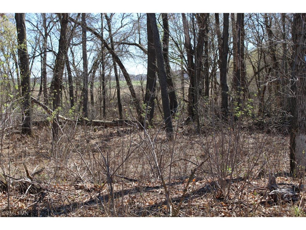 68xx 353rd Avenue NW Princeton MN 55371 6524805 image1