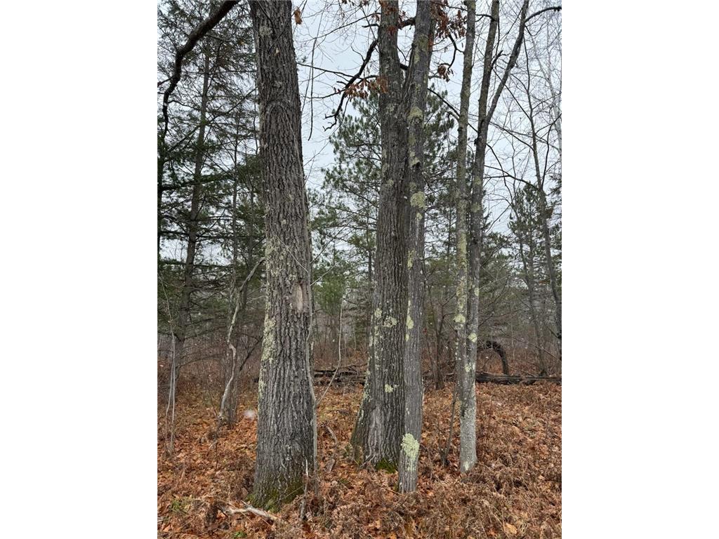 68xx Hollander Rd Iron River WI 54847 6460316 image1