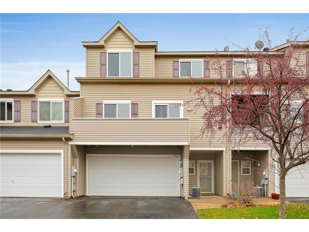 6900 Meadow Grass Lane S Cottage Grove MN 55016 6462883 image1