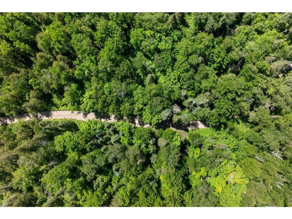 6908 Rogers Point Road NW Walker MN 56484 - Leech Lake 7090024 image58