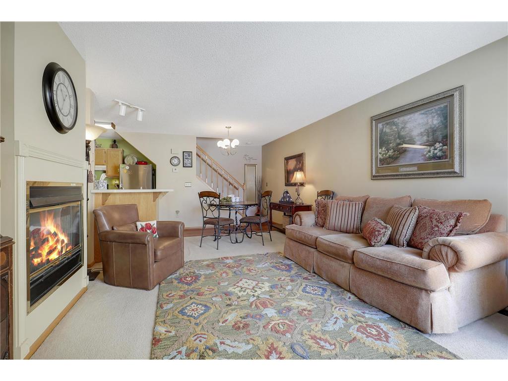 691 85th Lane NW #7 Coon Rapids MN 55433 7012569 image9