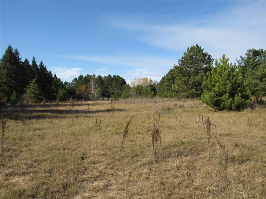 691 State 371 NW Powers Twp MN 56435 6810041 image18