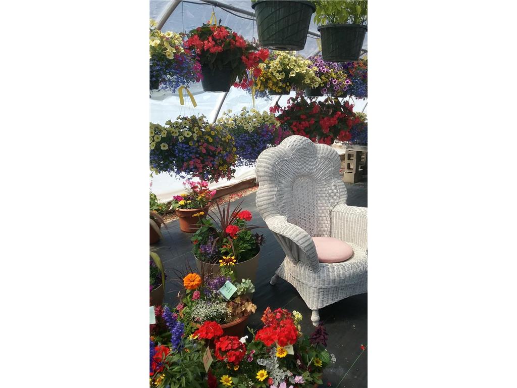 691 State 371 NW Powers Twp MN 56435 6810041 image2