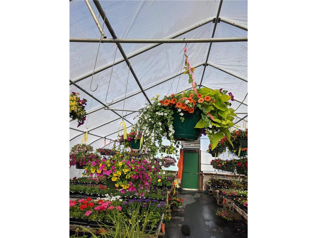 691 State 371 NW Powers Twp MN 56435 6810041 image3