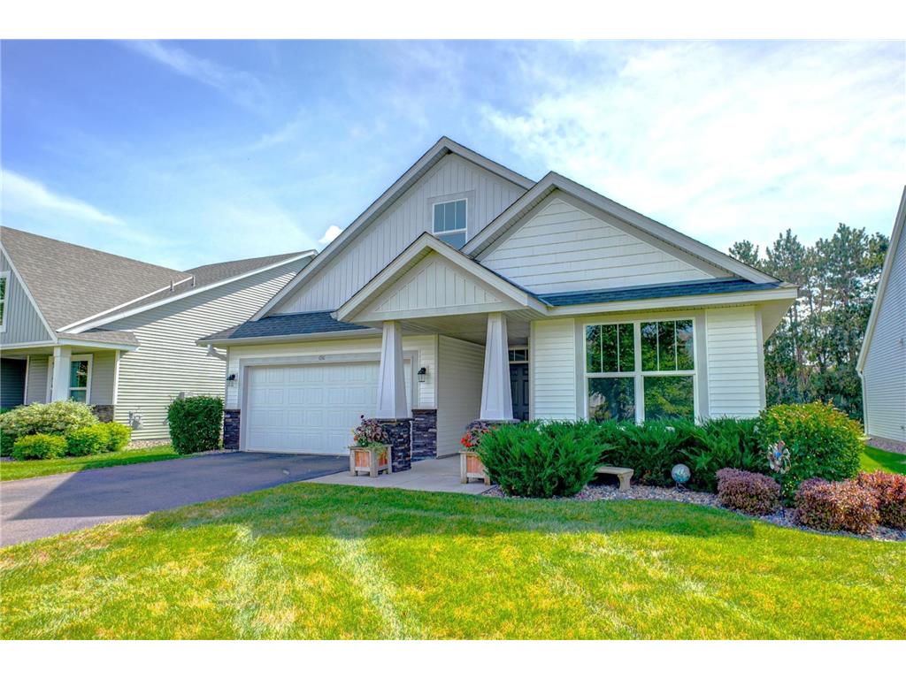 6911 92nd Street S Cottage Grove MN 55016 6775917 image1