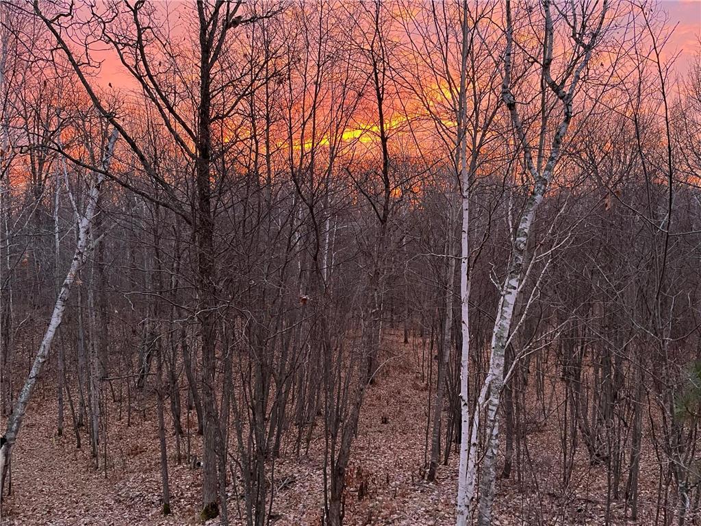 6920 County Road 8 NE Longville MN 56655 - Town Line 6754895 image11