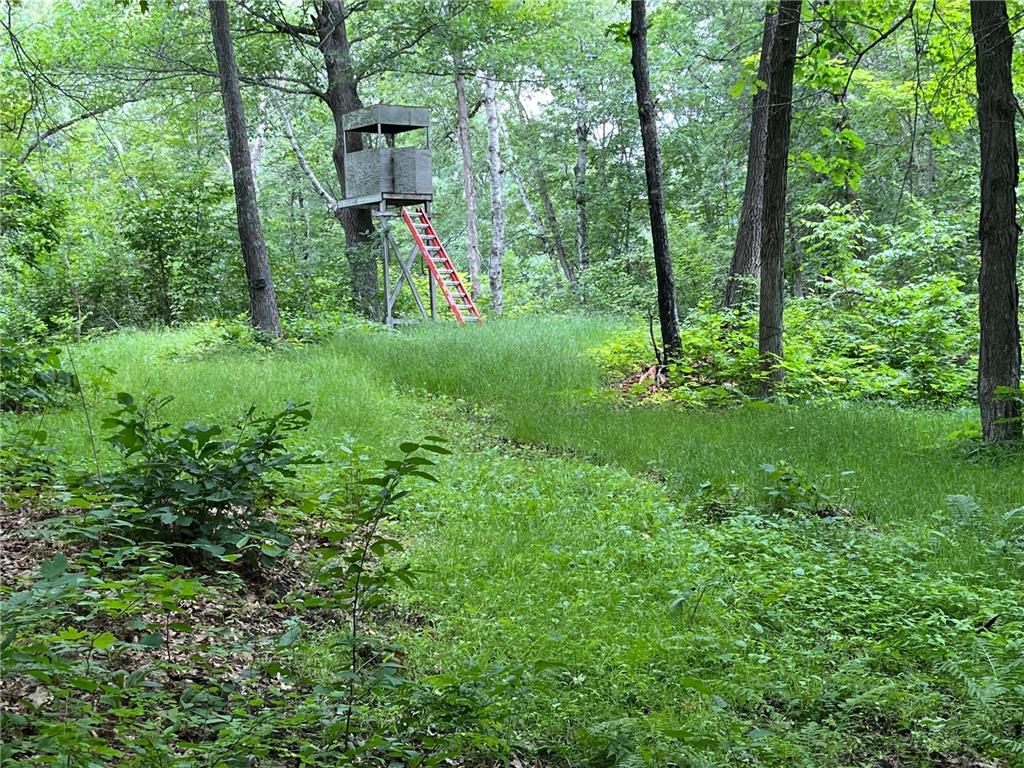 6920 County Road 8 NE Longville MN 56655 - Town Line 6754895 image12