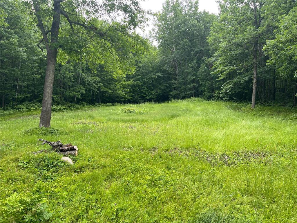 6920 County Road 8 NE Longville MN 56655 - Town Line 6754895 image13