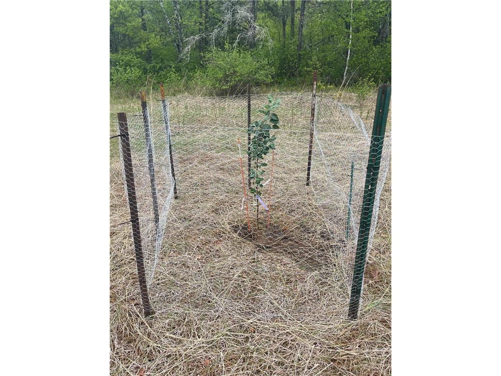 6920 County Road 8 NE Longville MN 56655 - Town Line 6754895 image15