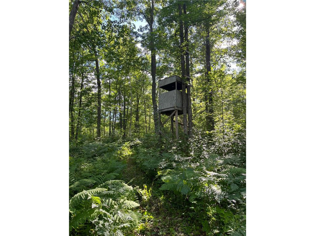 6920 County Road 8 NE Longville MN 56655 - Town Line 6754895 image17