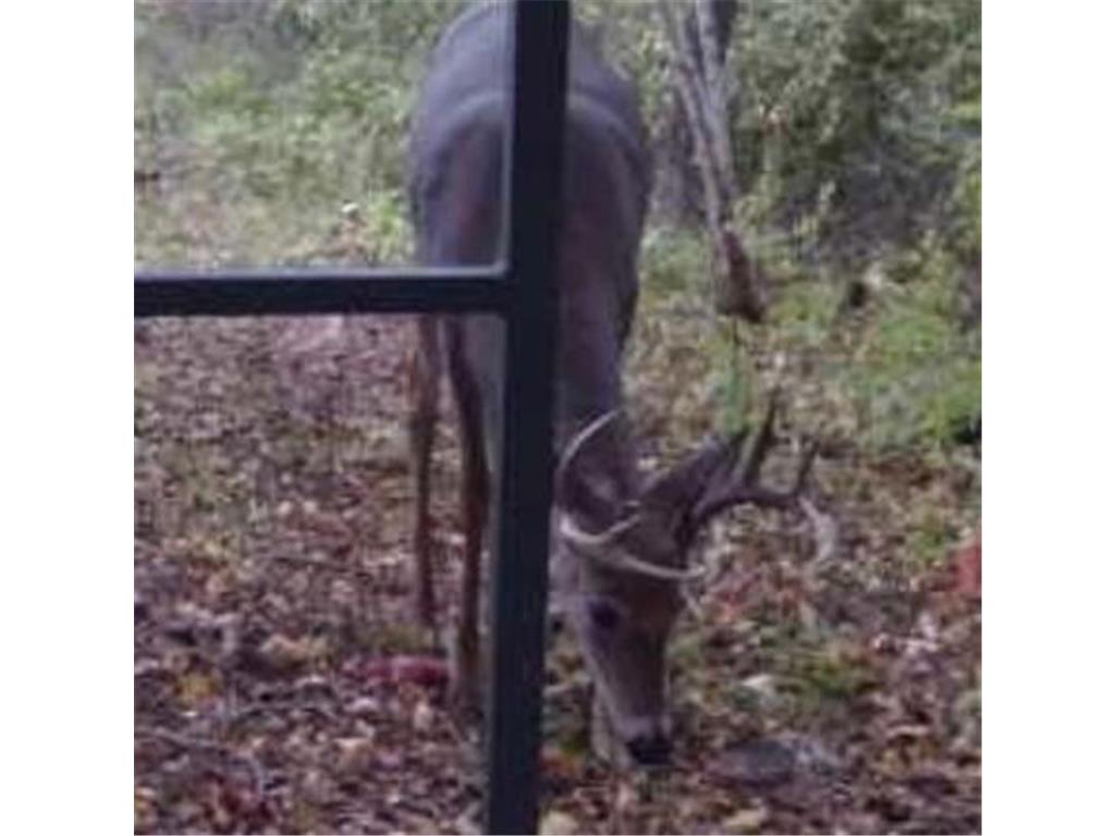 6920 County Road 8 NE Longville MN 56655 - Town Line 6754895 image24