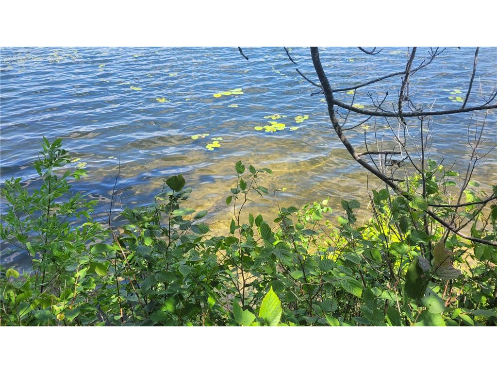 6920 County Road 8 NE Longville MN 56655 - Town Line 6754895 image3