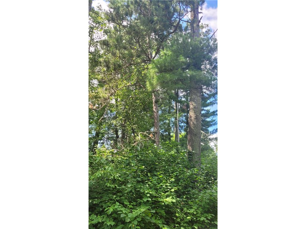 6920 County Road 8 NE Longville MN 56655 - Town Line 6754895 image9