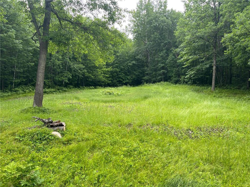 6920 County Road 8 NE Longville MN 56655 - Town Line 7068270 image13