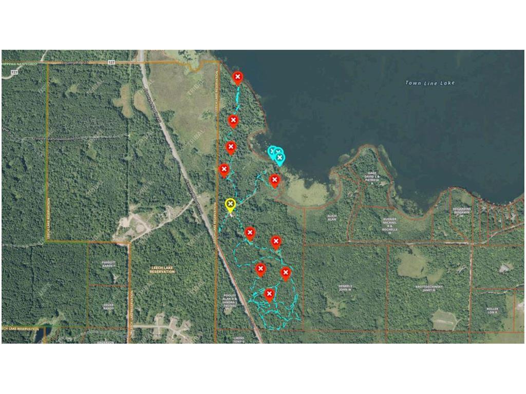 6920 County Road 8 NE Longville MN 56655 - Town Line 7068270 image2