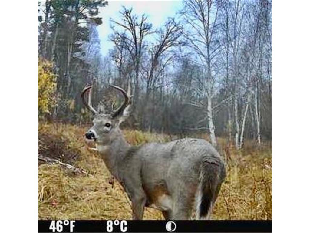 6920 County Road 8 NE Longville MN 56655 - Town Line 7068270 image25