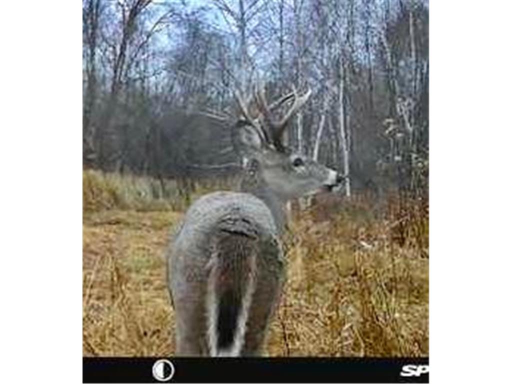 6920 County Road 8 NE Longville MN 56655 - Town Line 7068270 image26