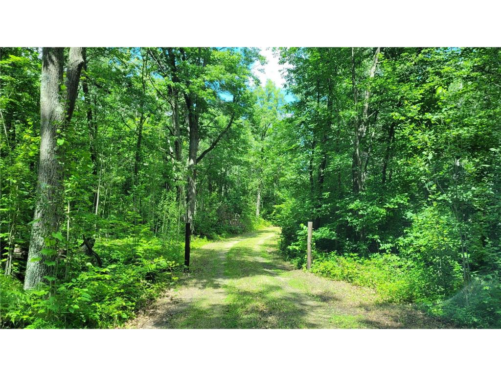 6920 County Road 8 NE Longville MN 56655 - Town Line 7068270 image5