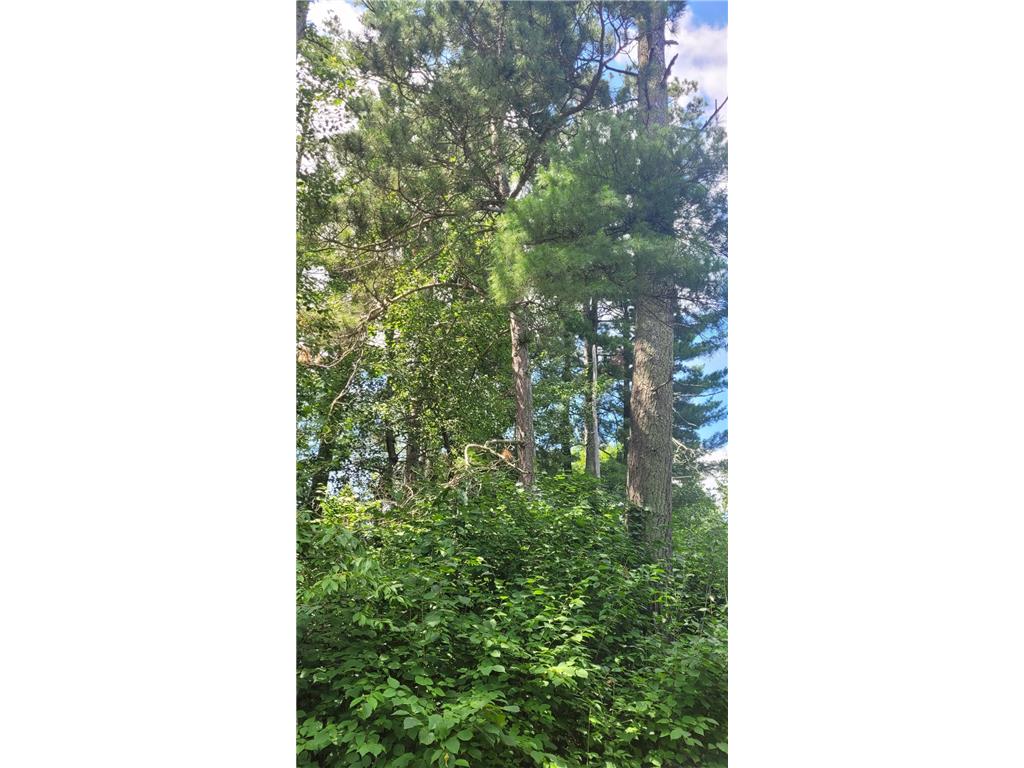 6920 County Road 8 NE Longville MN 56655 - Town Line 7068270 image9