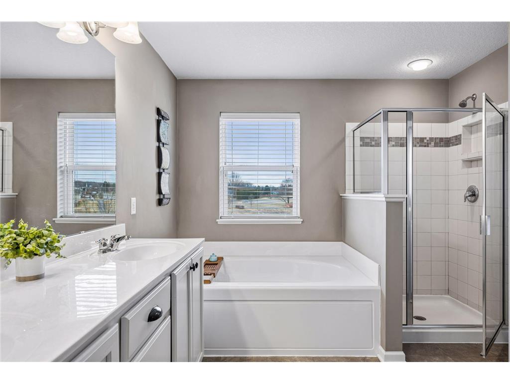 6920 Joliet Avenue S Cottage Grove MN 55016 7038317 image32