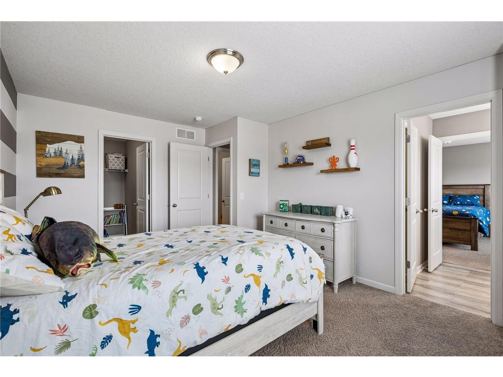 6920 Joliet Avenue S Cottage Grove MN 55016 7038317 image46