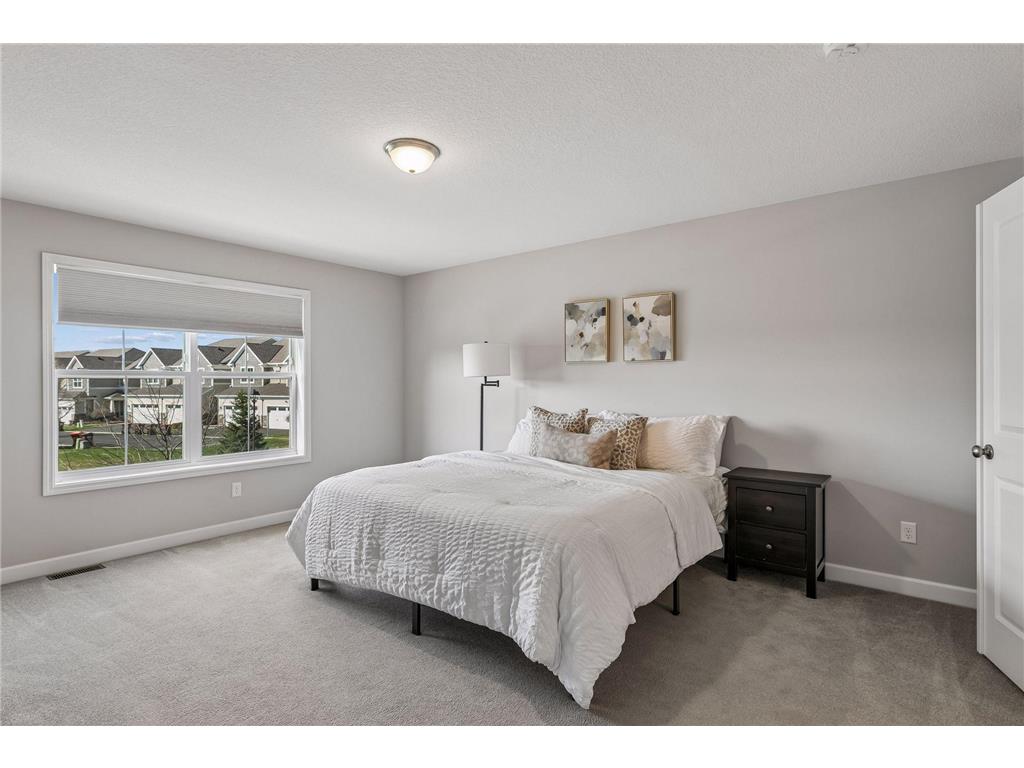 6925 Archer Court Inver Grove Heights MN 55077 7038135 image19