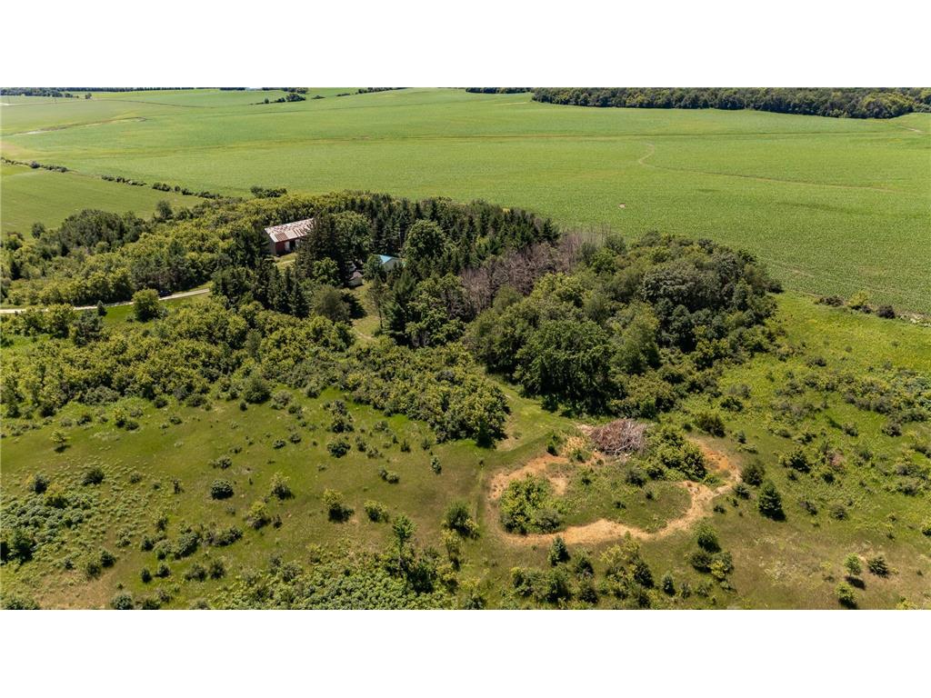 69311 280th Avenue Canisteo Twp MN 55944 6747441 image14