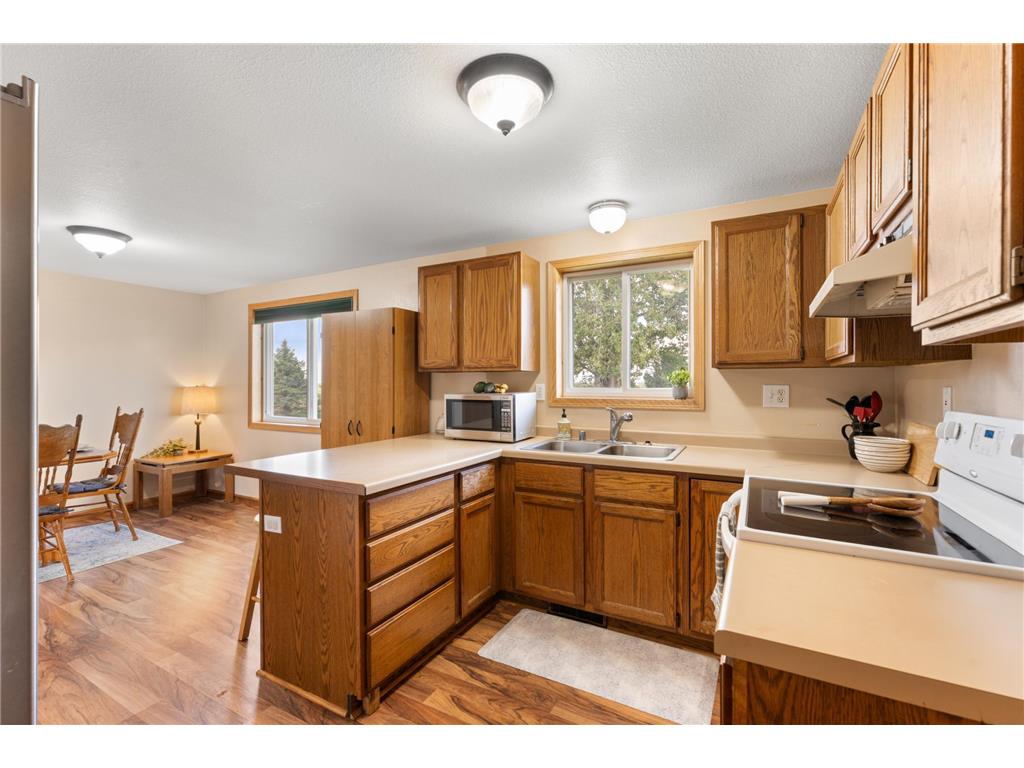 69378 230th Avenue Canisteo Twp MN 55944 6785388 image12