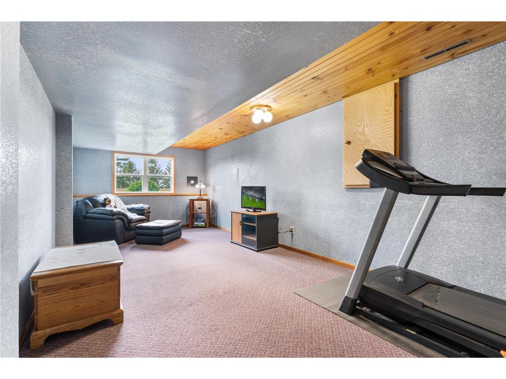 69378 230th Avenue Canisteo Twp MN 55944 6785388 image21