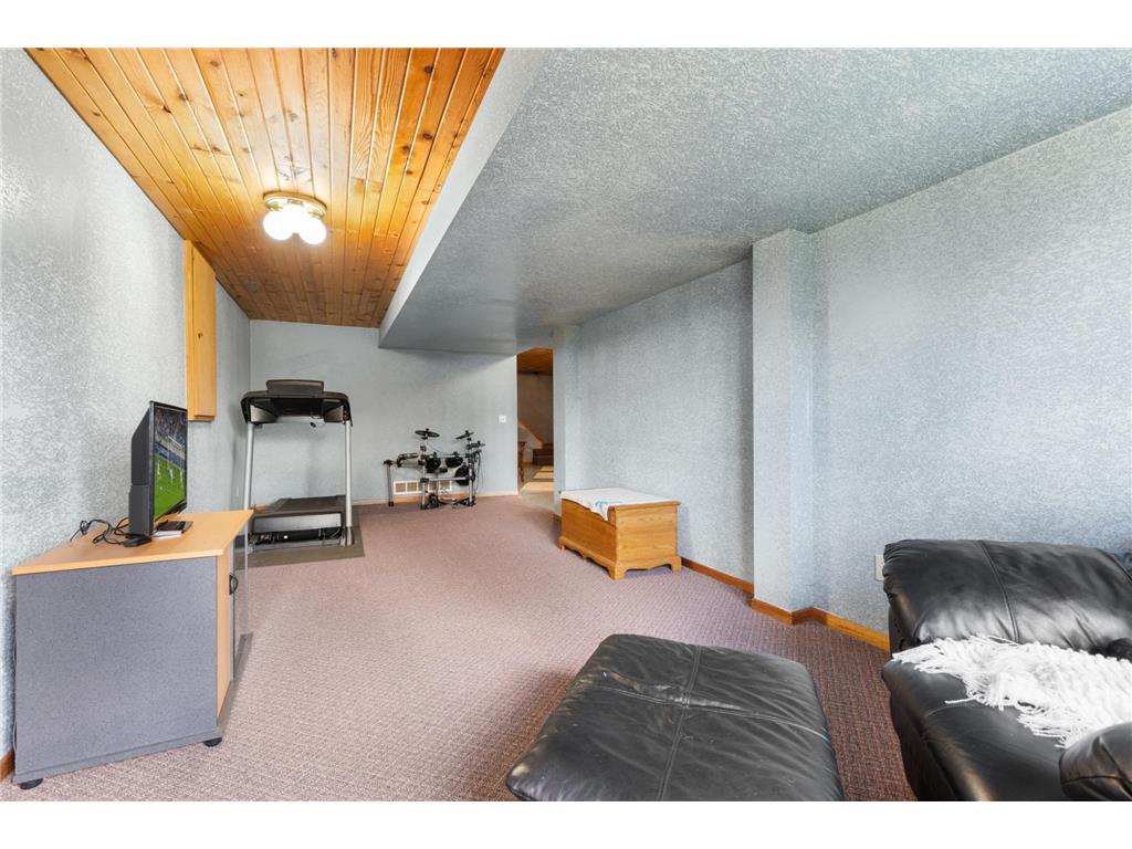 69378 230th Avenue Canisteo Twp MN 55944 6785388 image22