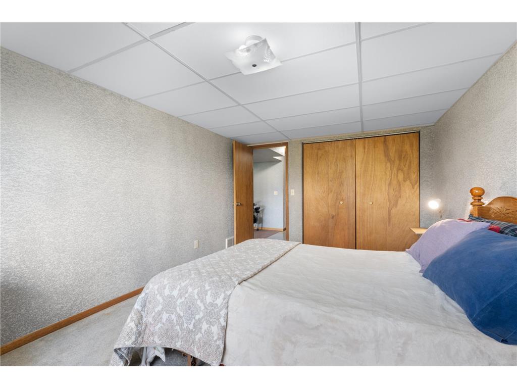 69378 230th Avenue Canisteo Twp MN 55944 6785388 image24