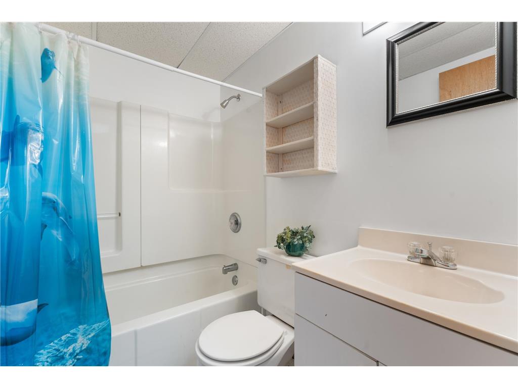 69378 230th Avenue Canisteo Twp MN 55944 6785388 image25