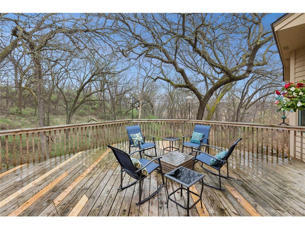 6954 Kenmare Drive Bloomington MN 55438 7058032 image40