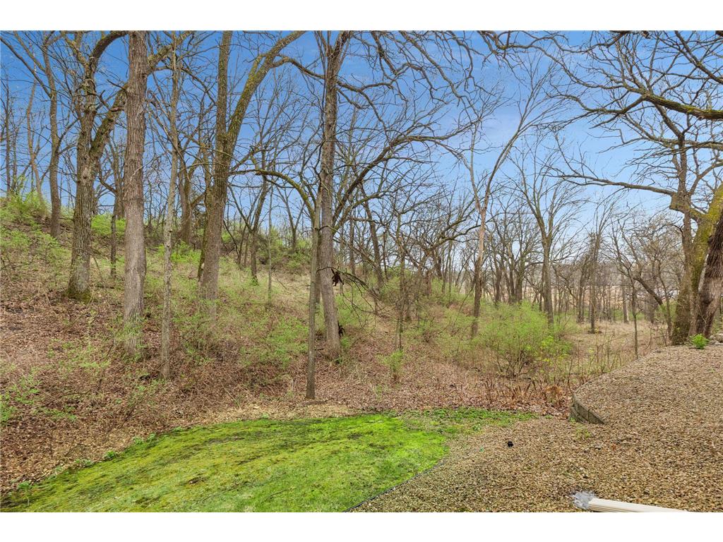 6954 Kenmare Drive Bloomington MN 55438 7058032 image43