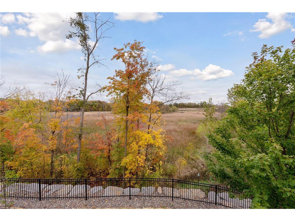 696 Woodland Hill Court Medina MN 55340 7038739 image43