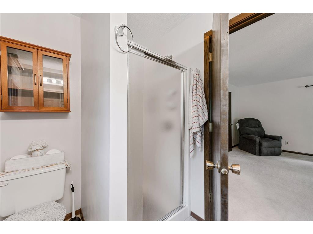 6966 Inskip Avenue S Cottage Grove MN 55016 7061876 image16