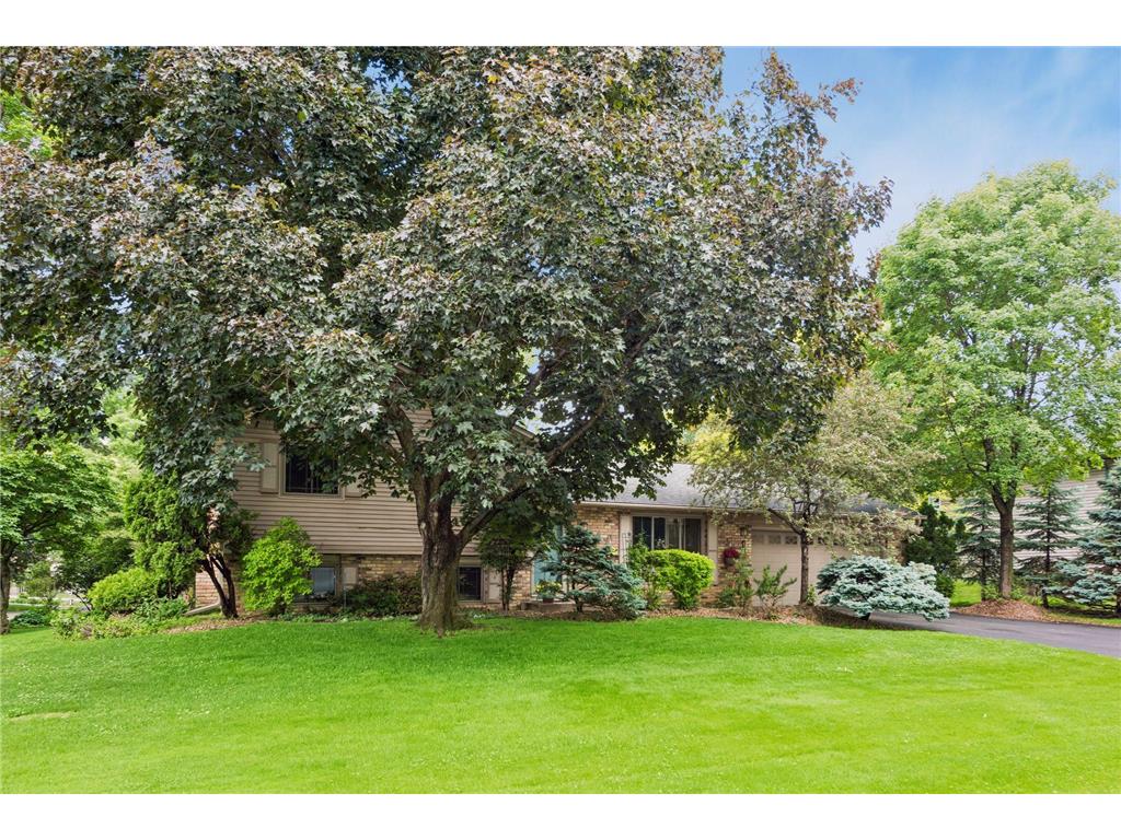 6966 Inskip Avenue S Cottage Grove MN 55016 7061876 image37
