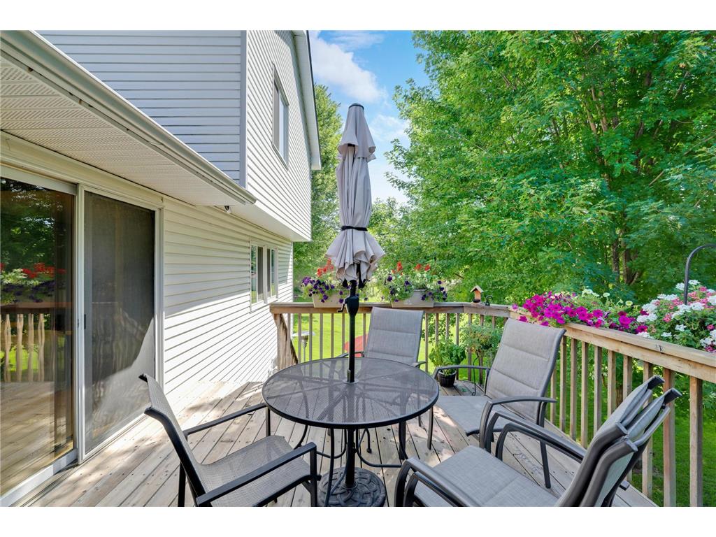 6970 137th Lane NW Ramsey MN 55303 7019790 image26