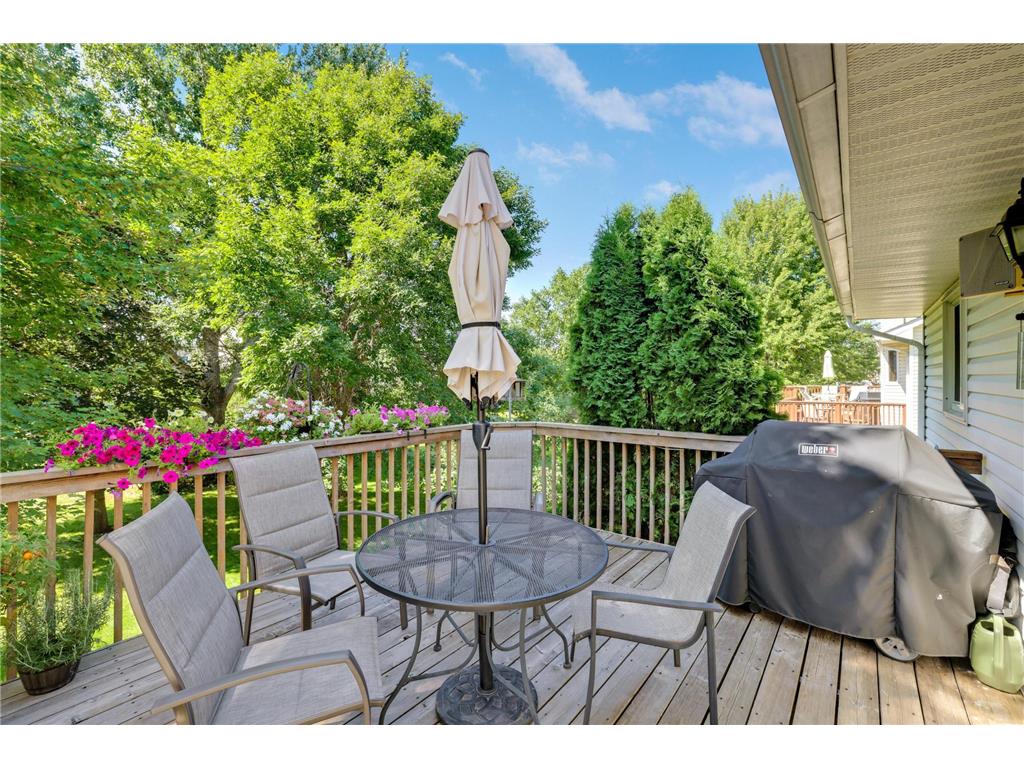 6970 137th Lane NW Ramsey MN 55303 7019790 image27