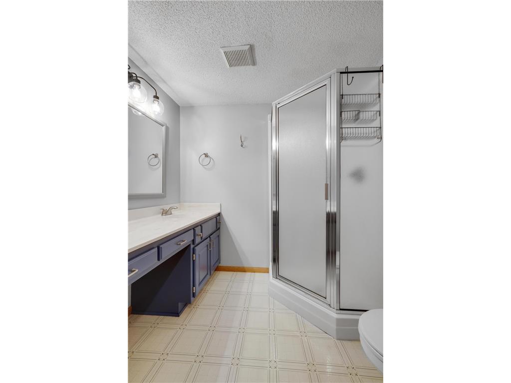 6970 137th Lane NW Ramsey MN 55303 7019790 image38