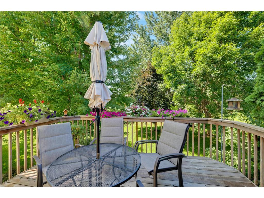 6970 137th Lane NW Ramsey MN 55303 7019790 image4