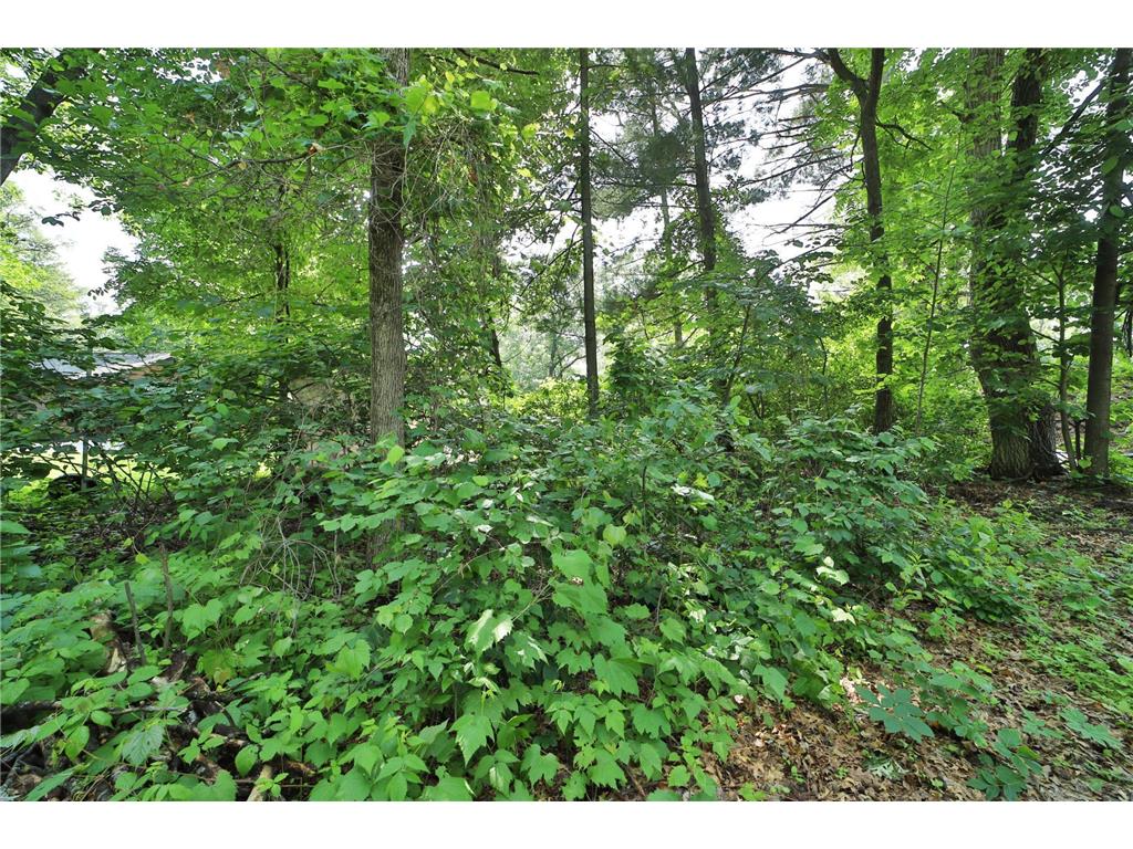 6991 Shadow Lane Brainerd MN 56401 - Little Hubert 6740276 image5