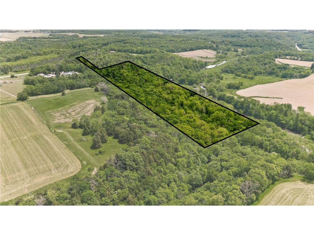 69xx County Road 19 Pleasant Grove Twp MN 55904 - Root River - North Branch 7084399 image2